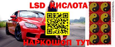винт Славянск-на-Кубани