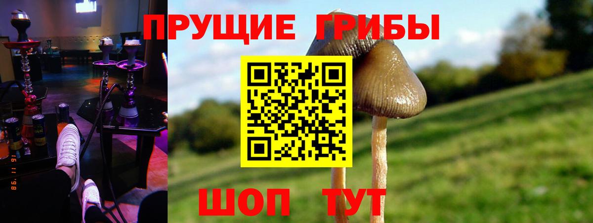 хочу наркоту  Псилоцибиновые грибы мухоморы  Буйнакск  Вход с VPN  Галлюциногенные грибы Psilocybine cubensis 