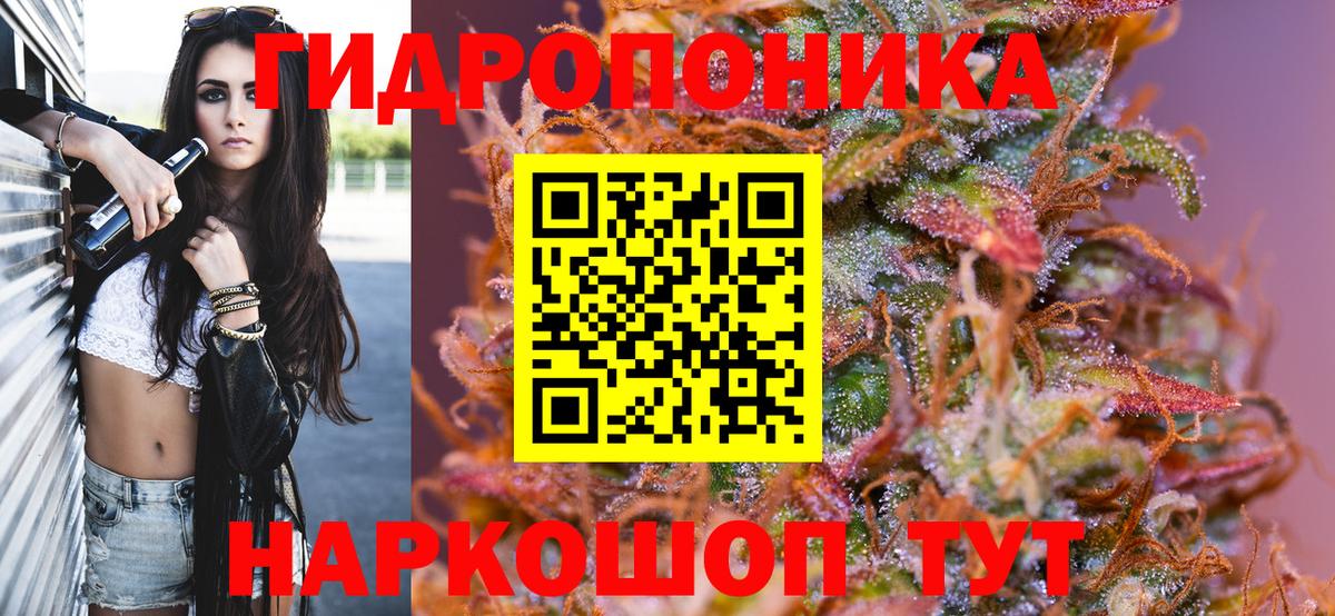 Каннабис семена  Канабис Amnesia  Вход с VPN  Марихуана Bruce Banner  Буйнакск 