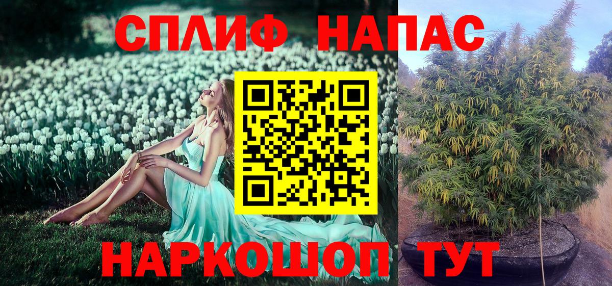 Шишки марихуана Amnesia Буйнакск